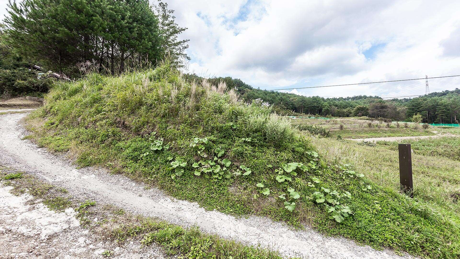 보광리분청자요지