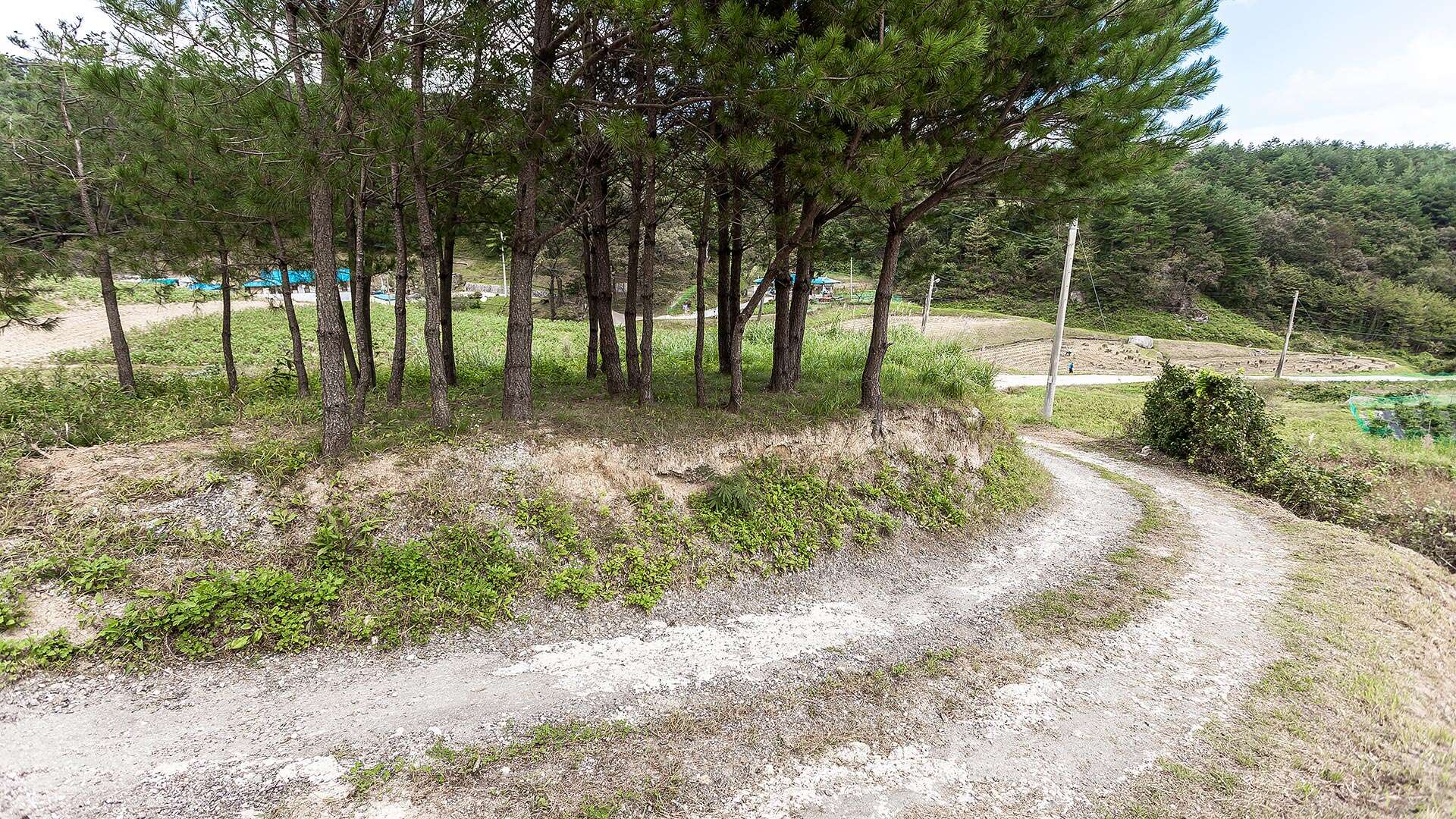 보광리분청자요지