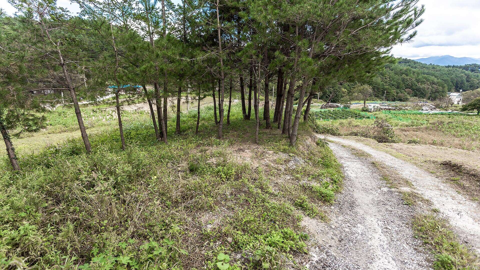 보광리분청자요지