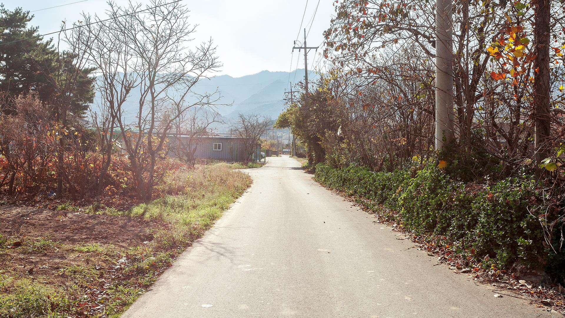 해파랑길 37코스