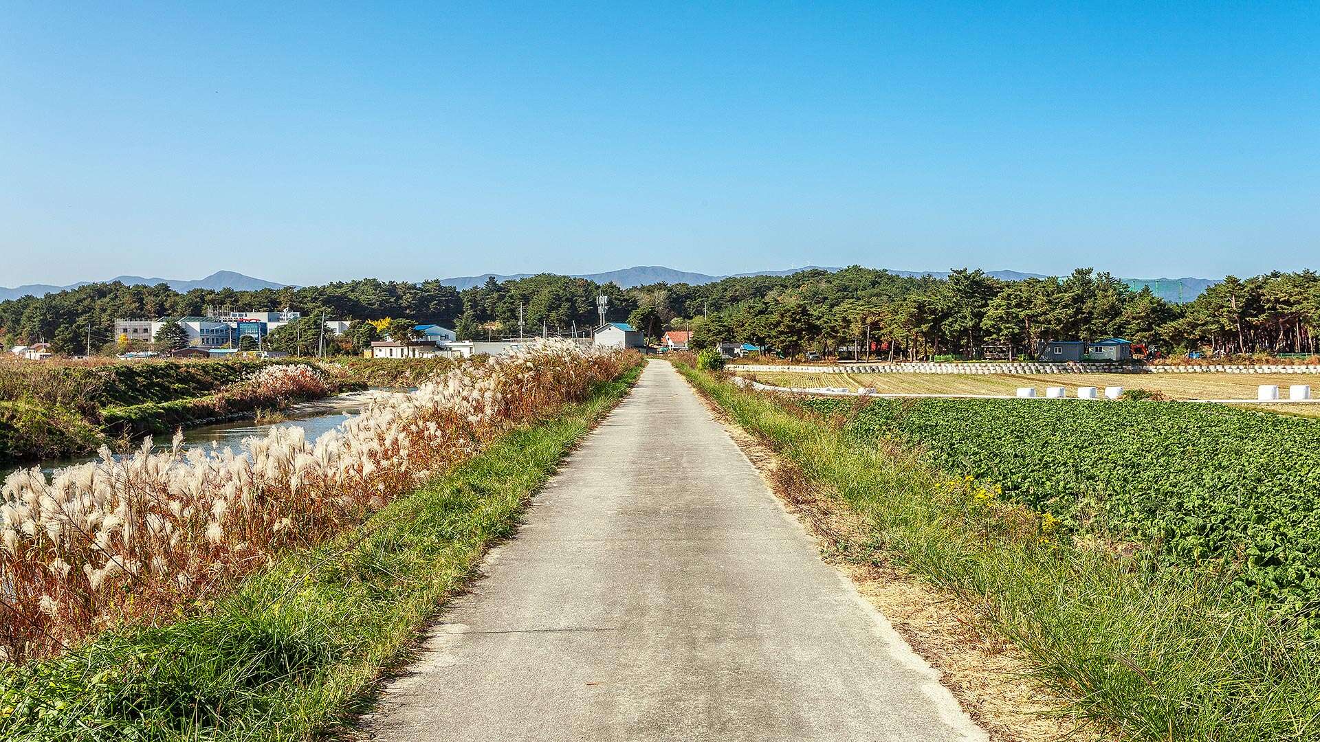 해파랑길 38코스