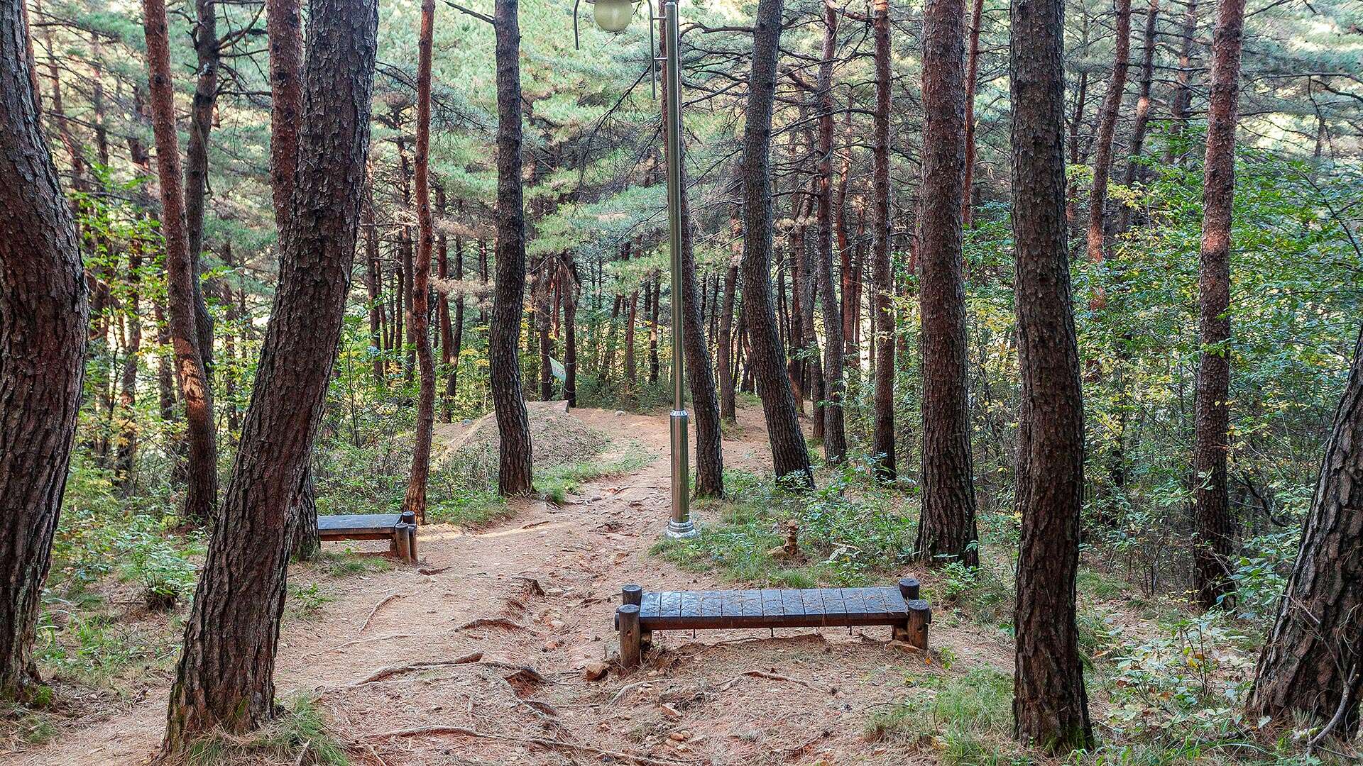 해파랑길 38코스