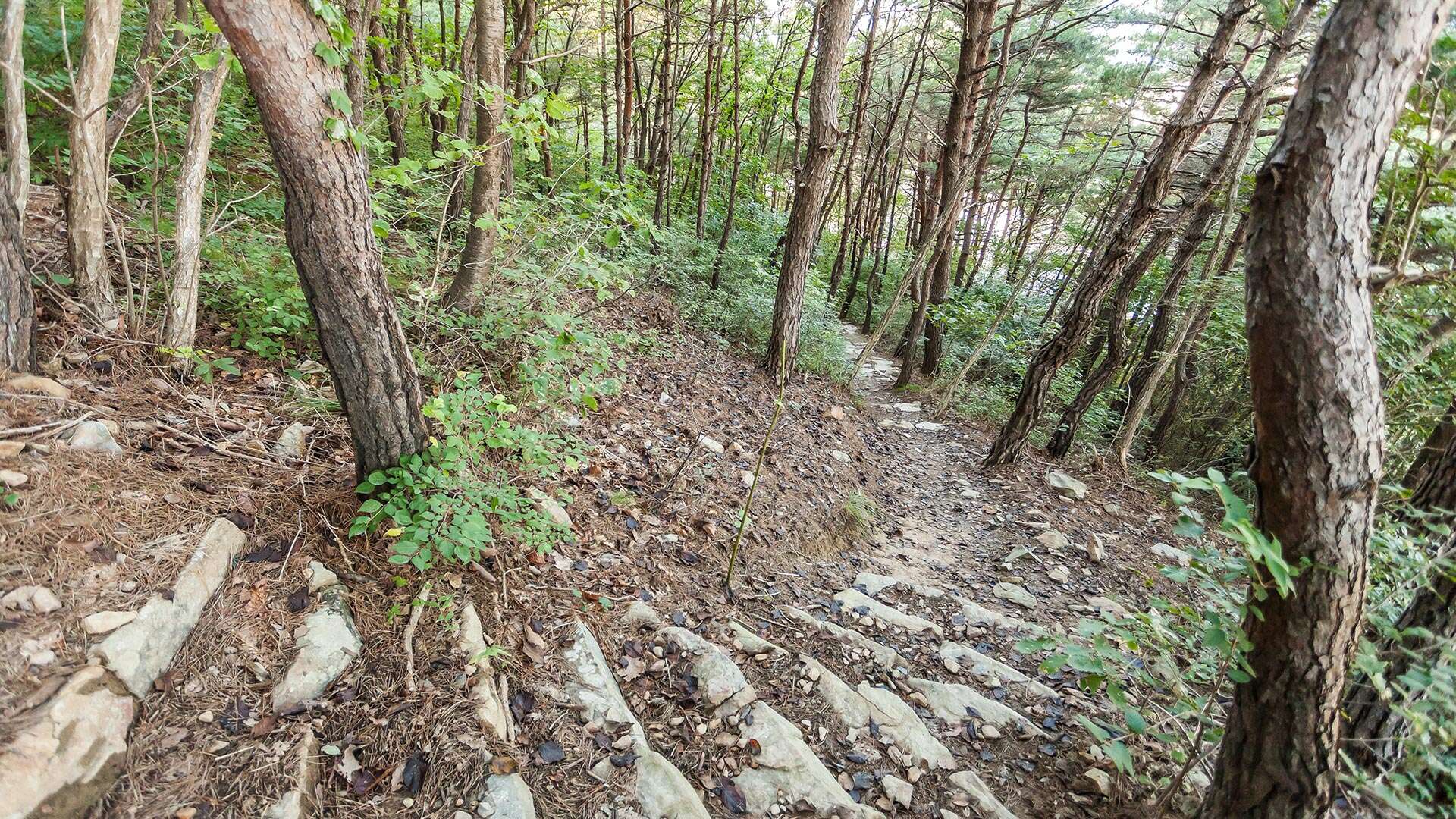 해파랑길 36코스