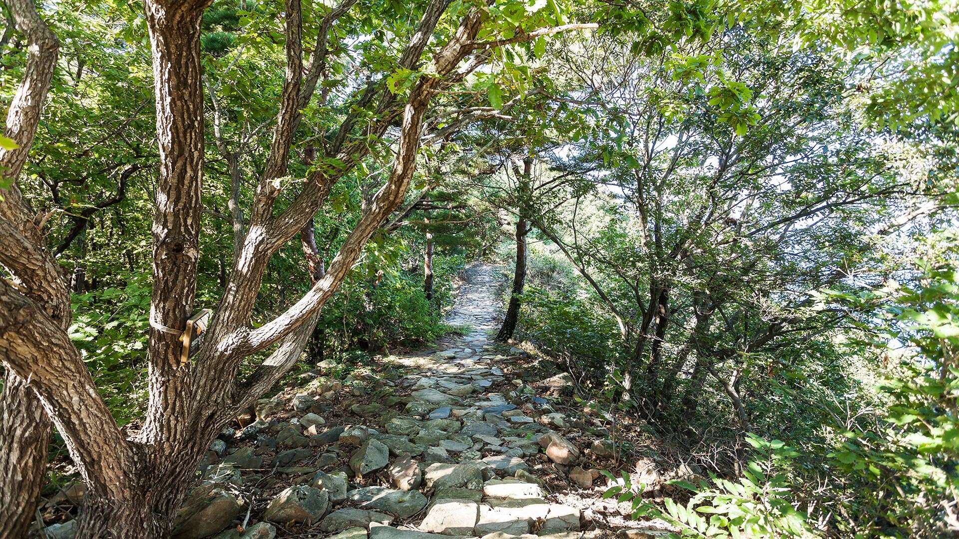 해파랑길 36코스