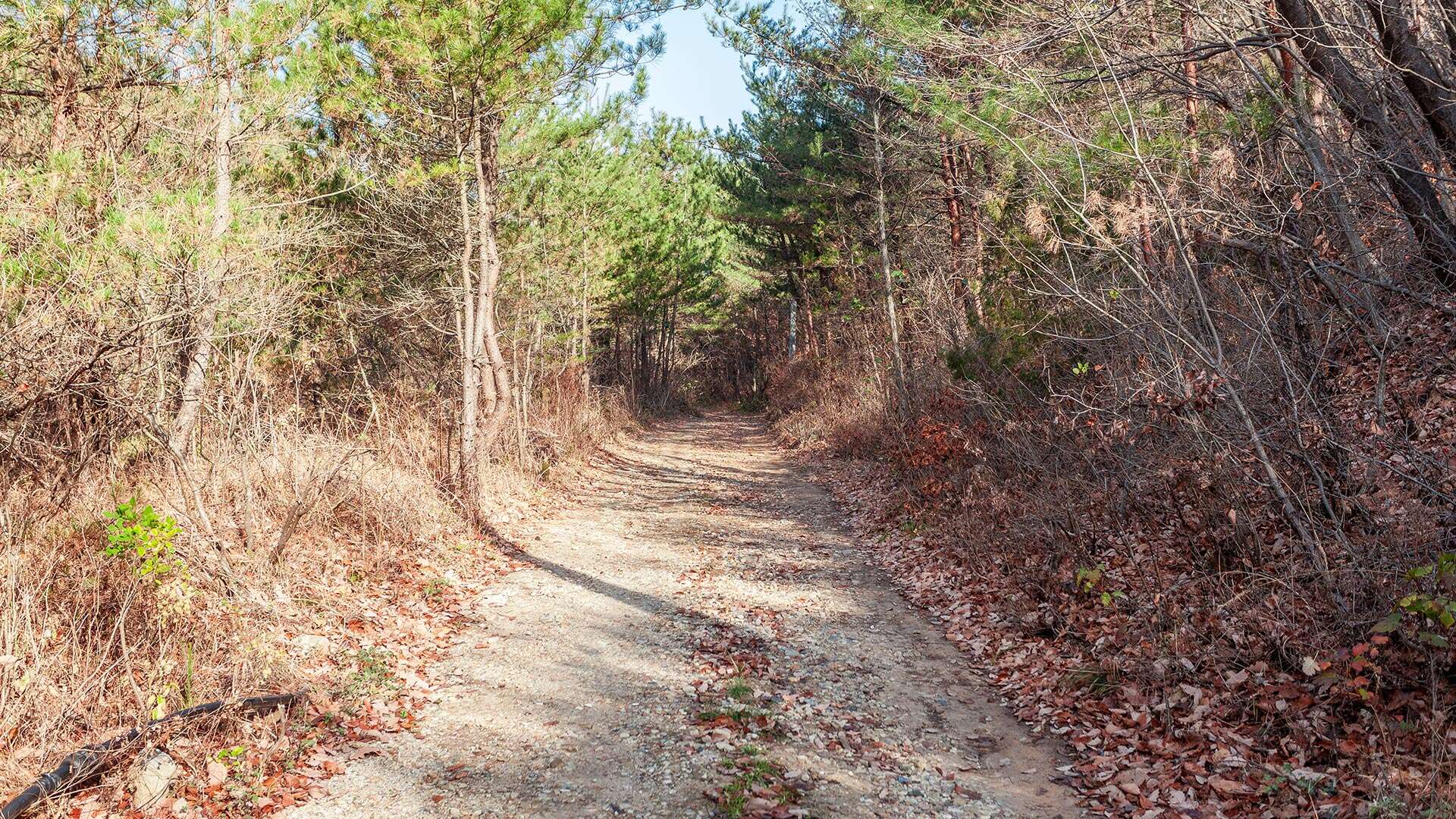 해파랑길 35코스