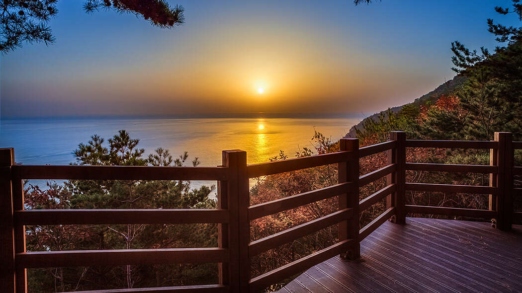 임해자연휴양림