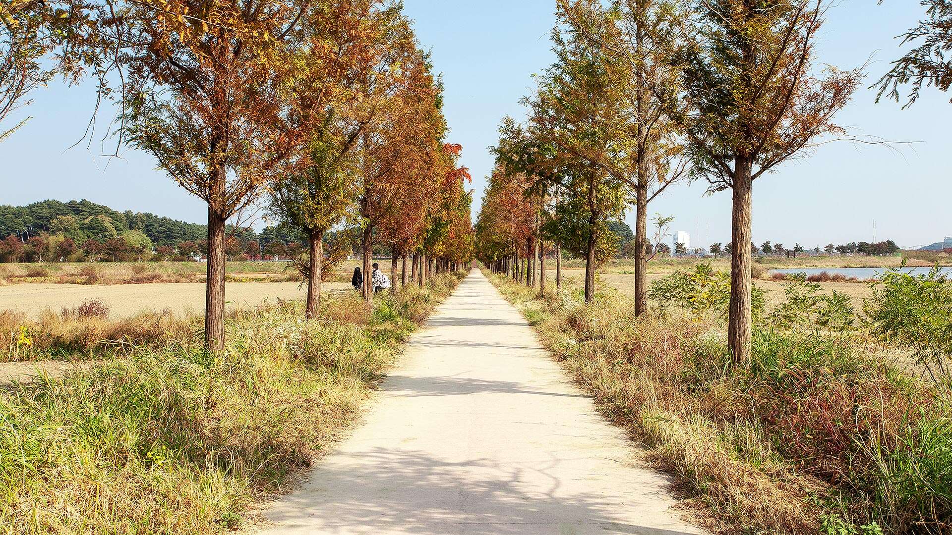 경포생태저류지