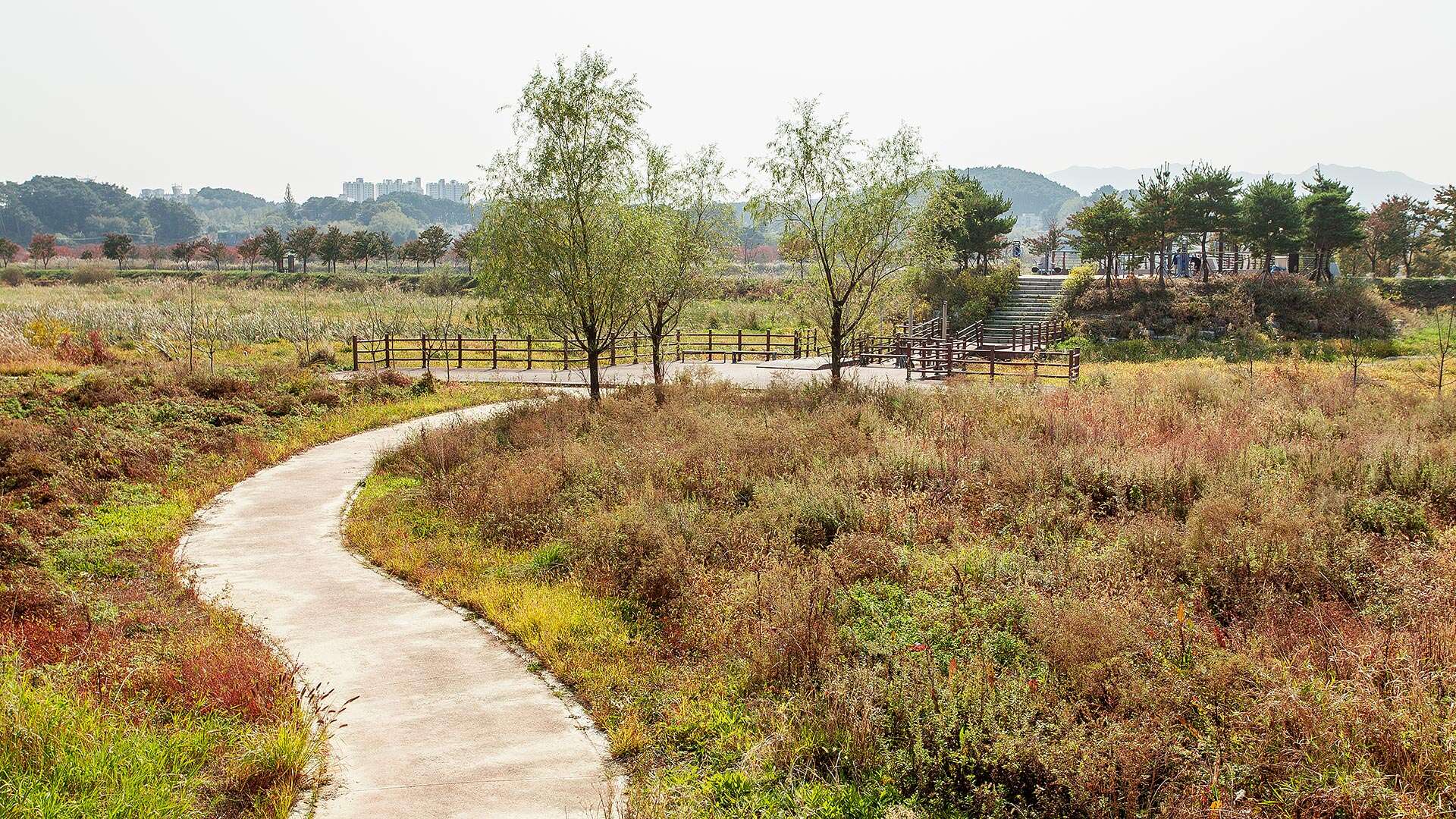 경포생태저류지