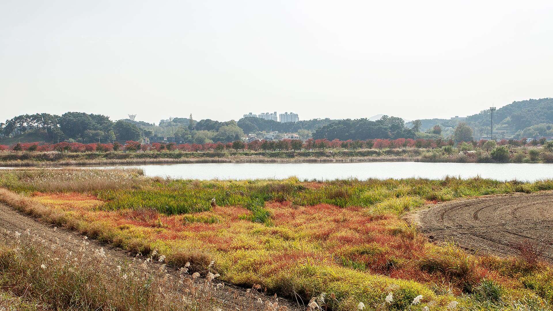 경포생태저류지