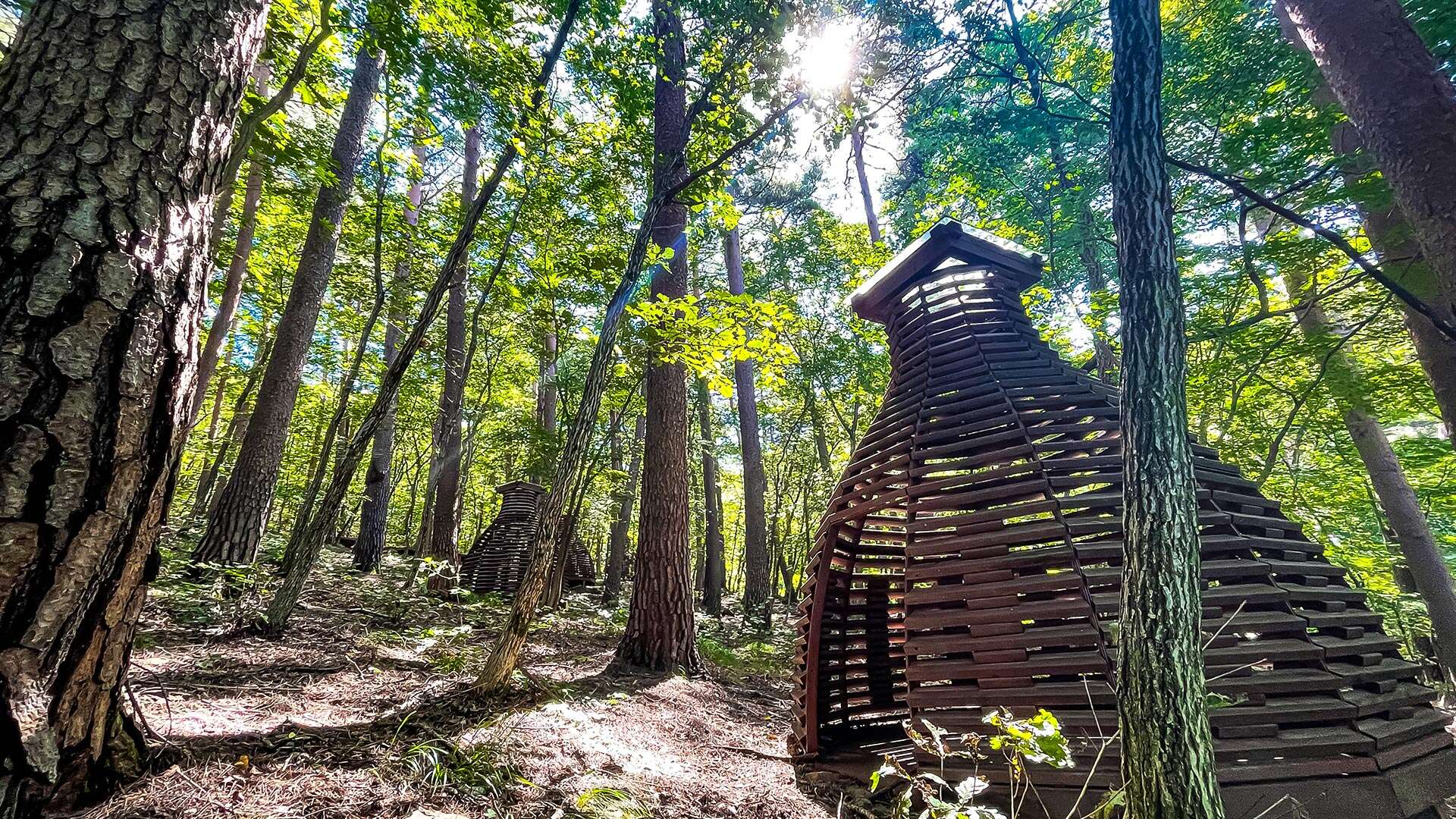 국립 대관령 치유의 숲