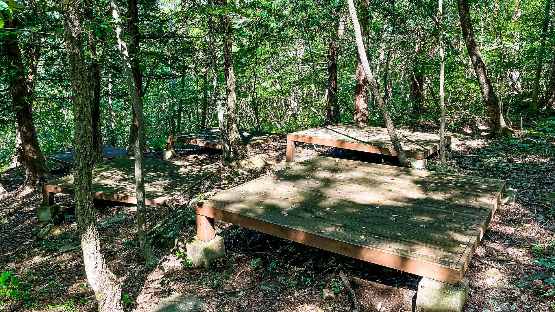 국립 대관령 치유의 숲