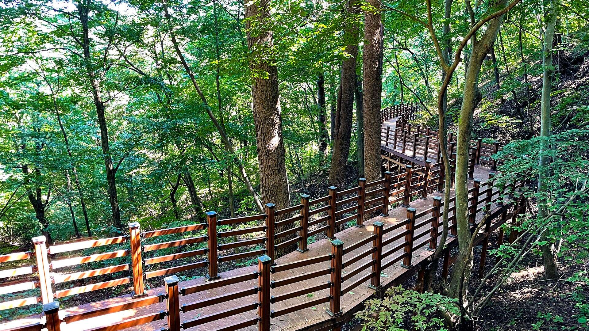 국립 대관령 치유의 숲