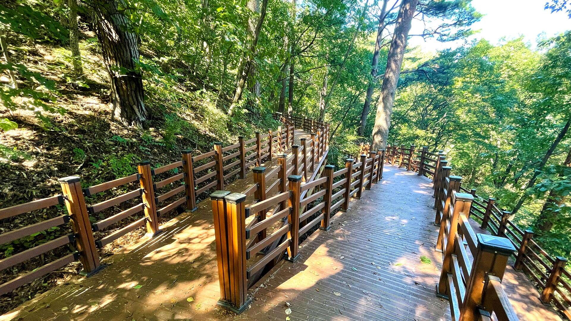 국립 대관령 치유의 숲