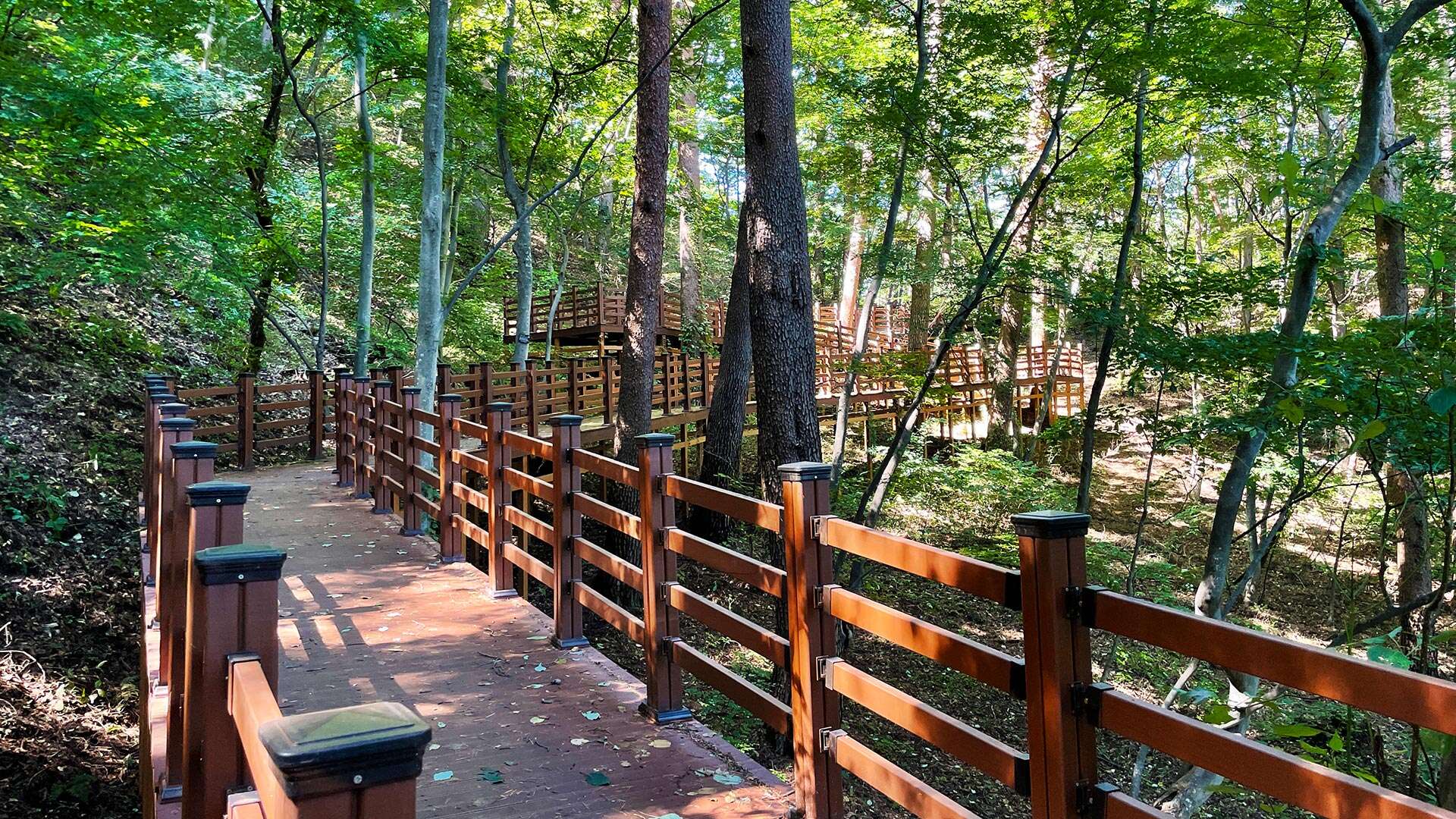 국립 대관령 치유의 숲