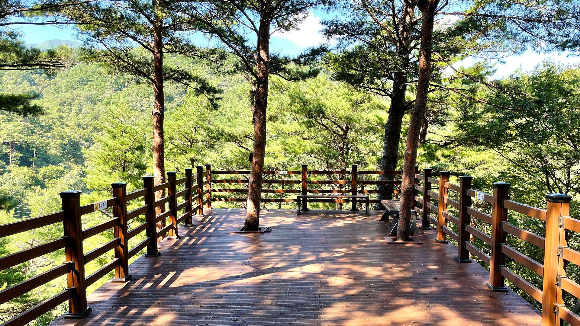 국립 대관령 치유의 숲