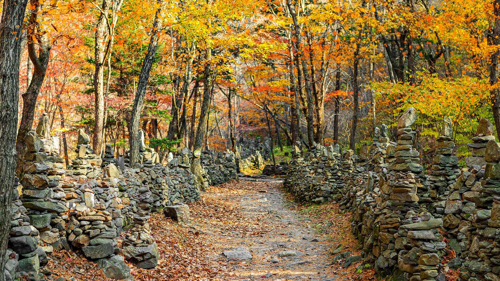 노추산모정탑길