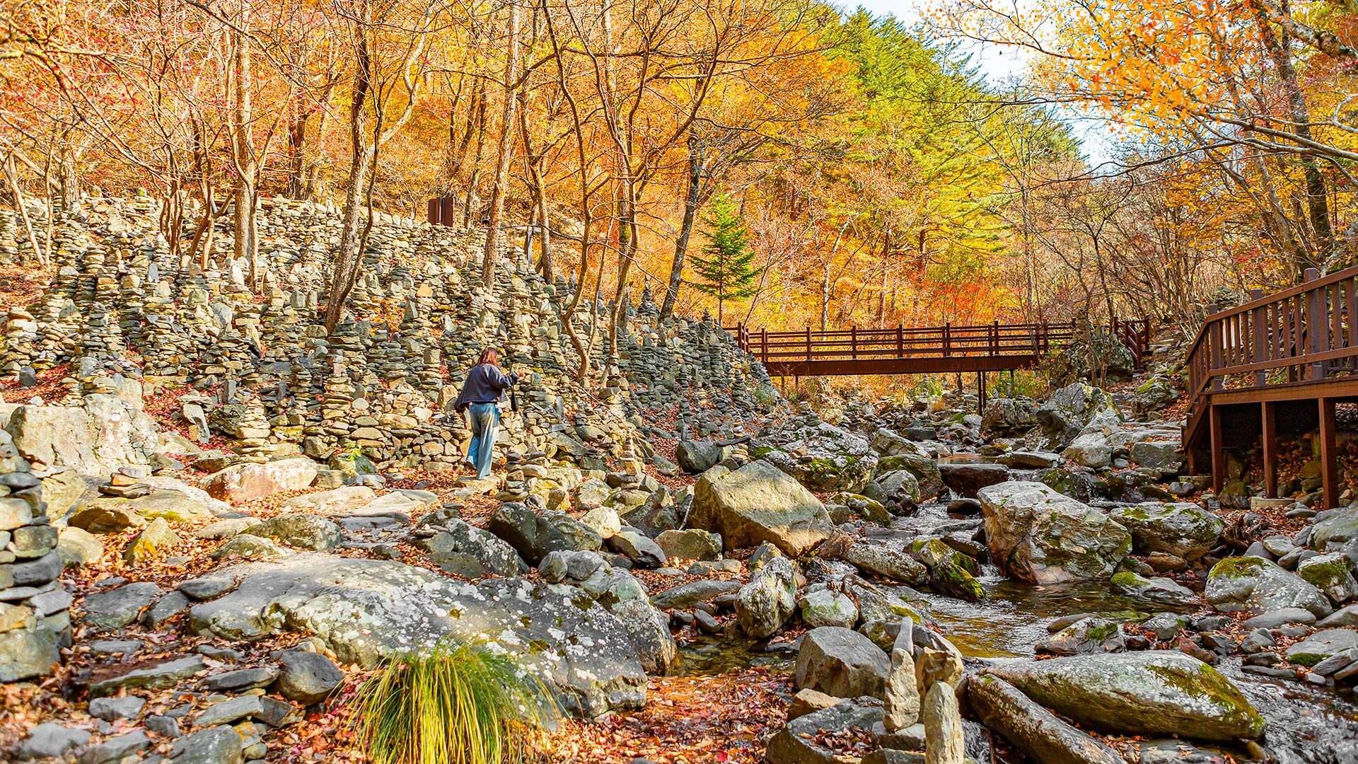 노추산모정탑길