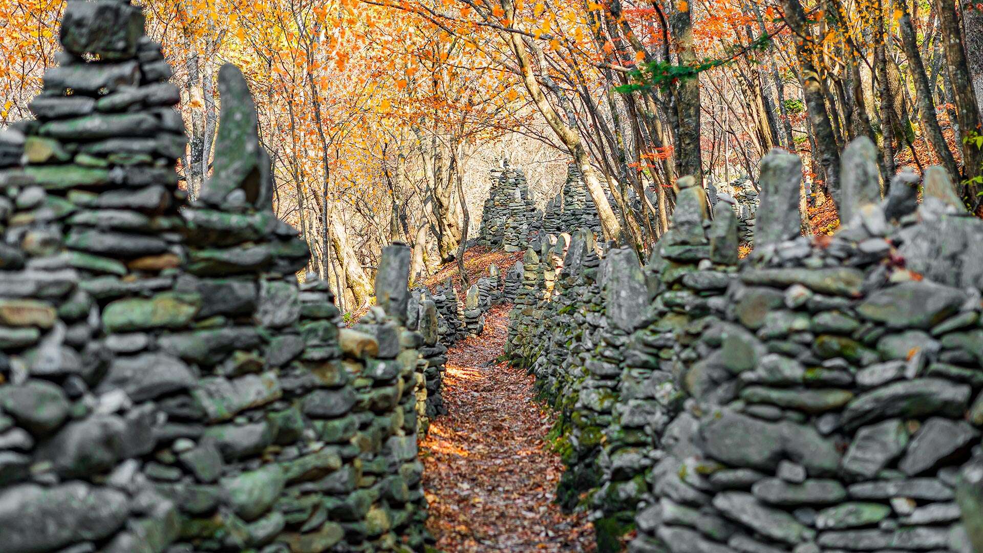 노추산모정탑길