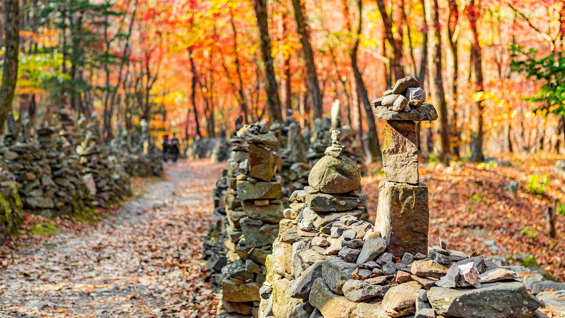 노추산모정탑길