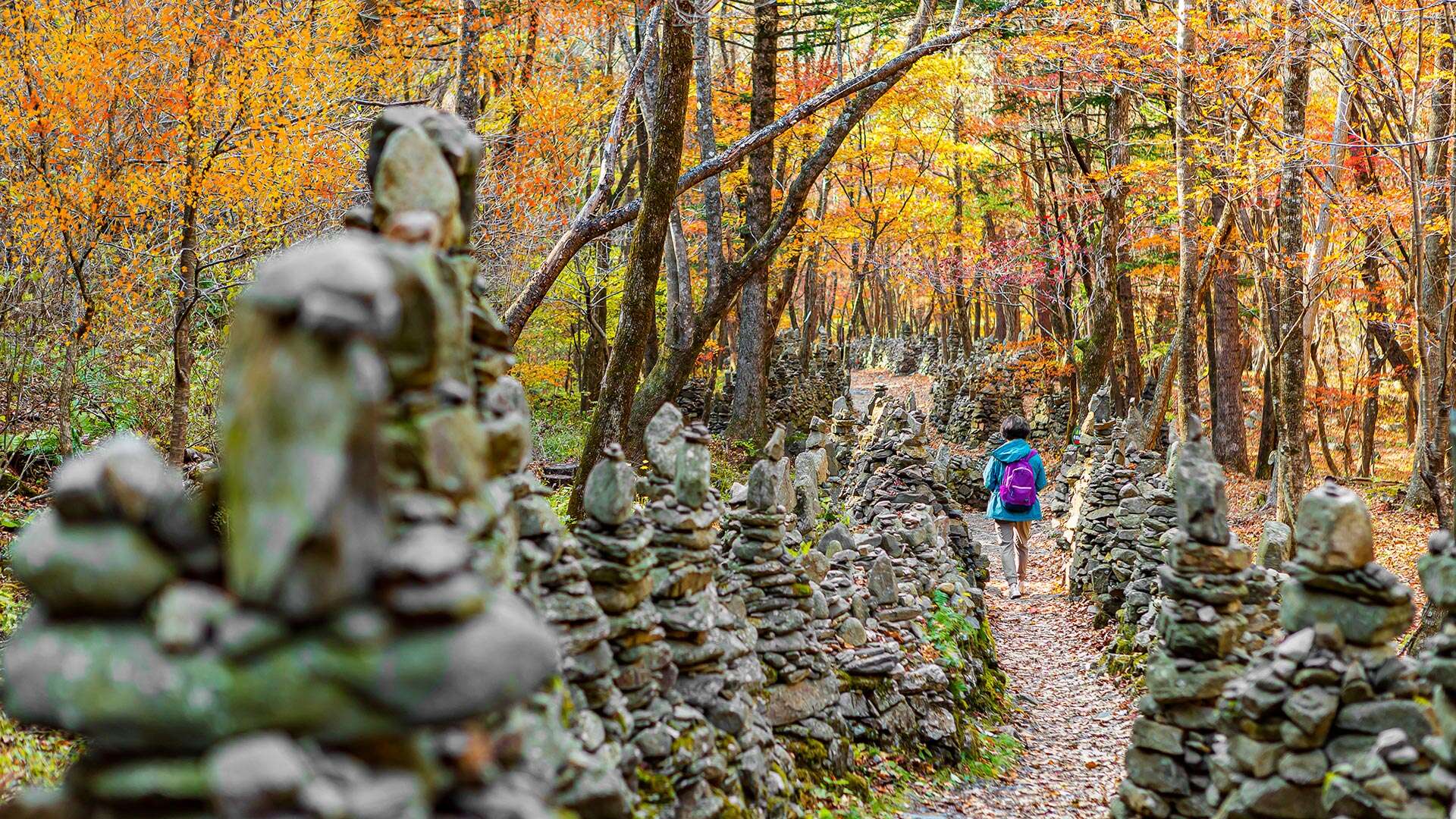 노추산모정탑길