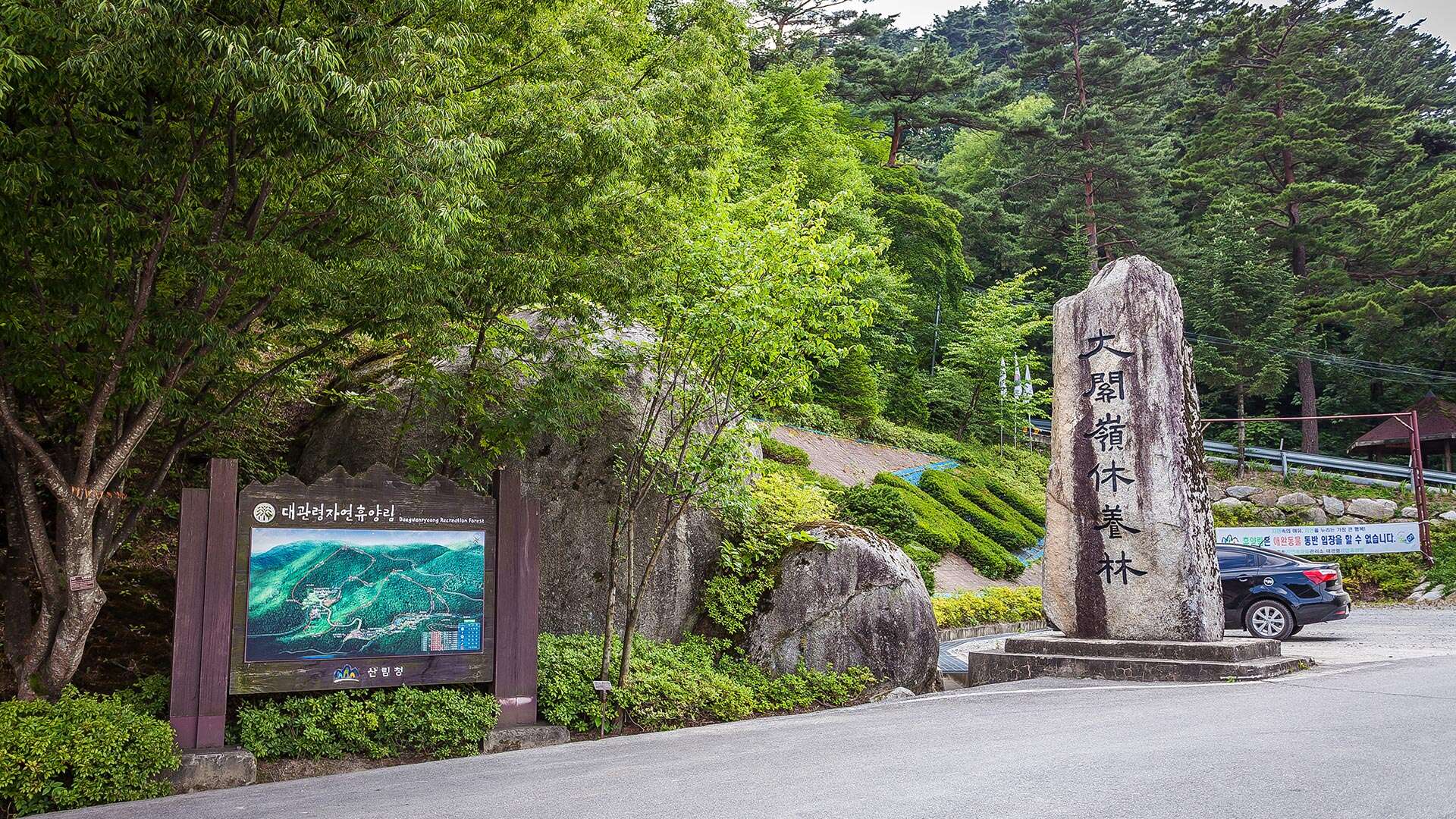 대관령자연휴양림