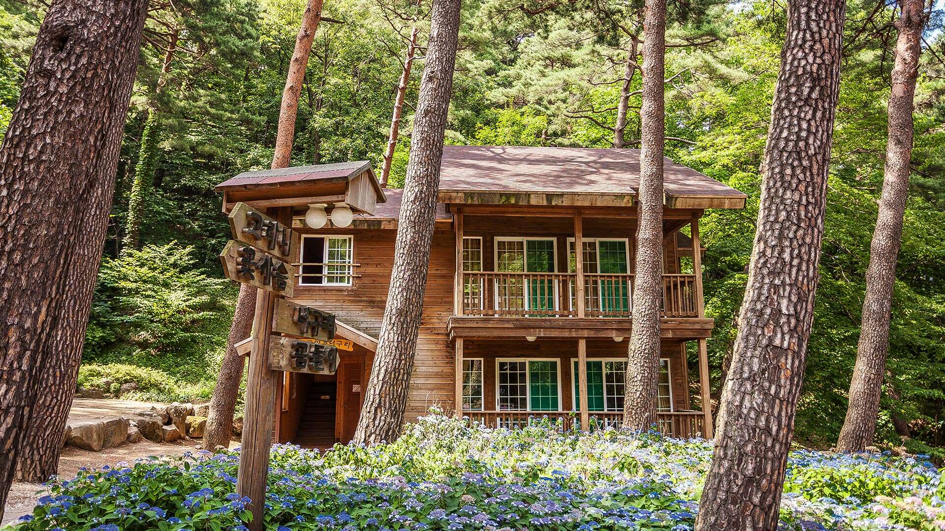 대관령자연휴양림