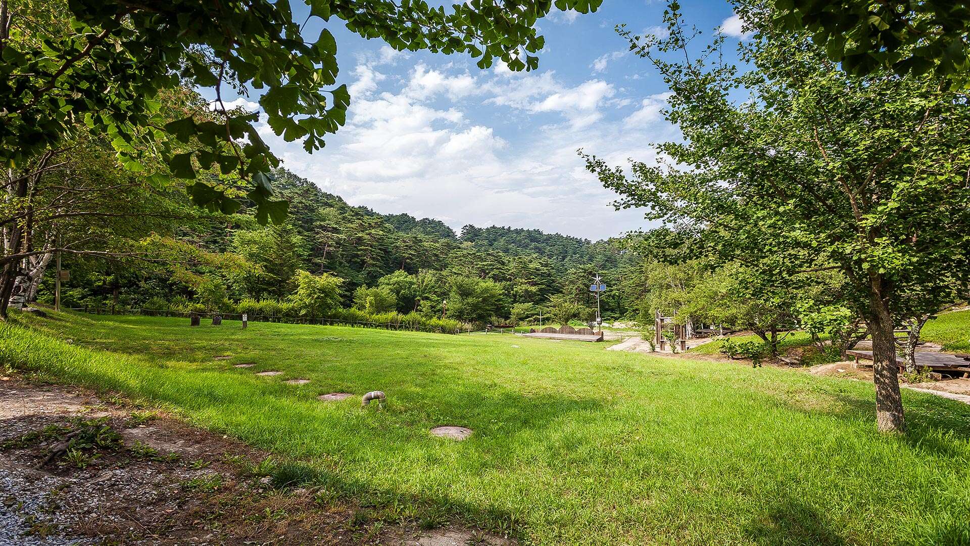 대관령자연휴양림