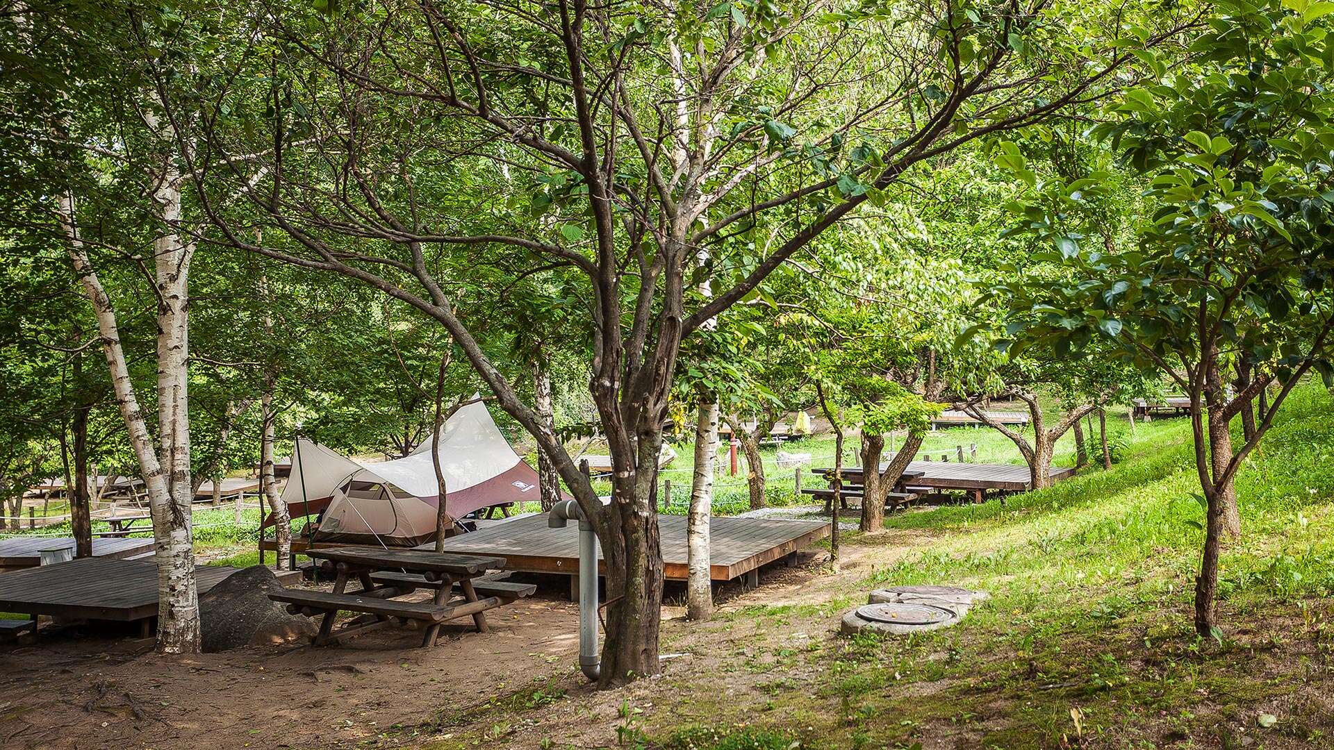 대관령자연휴양림