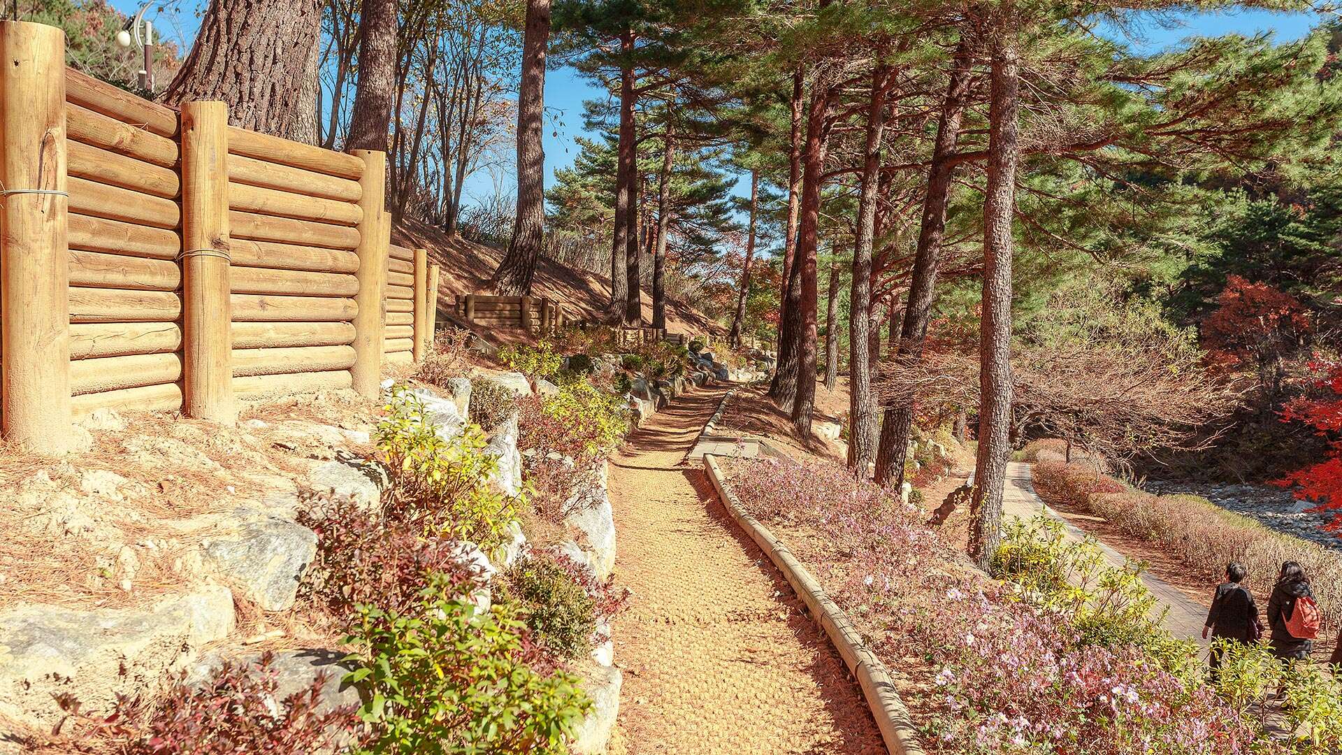 강릉솔향수목원