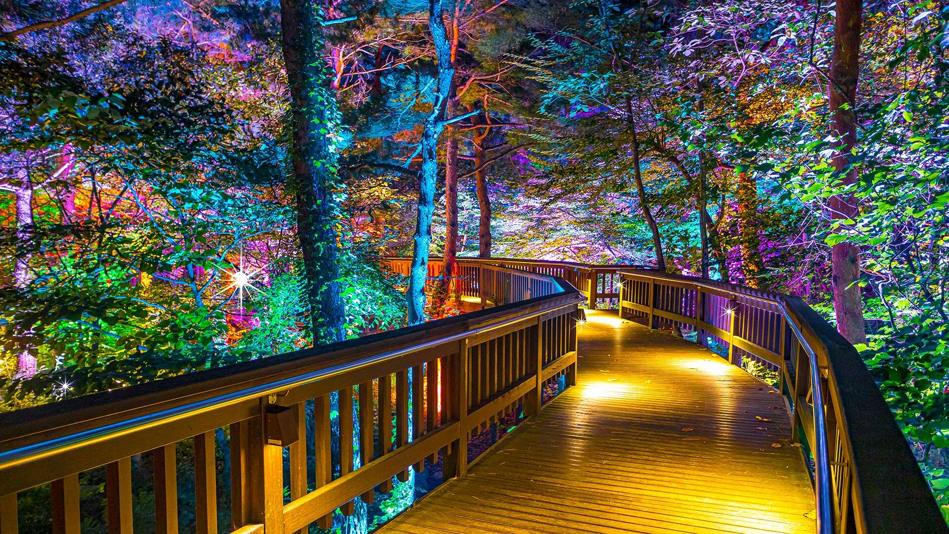 강릉솔향수목원