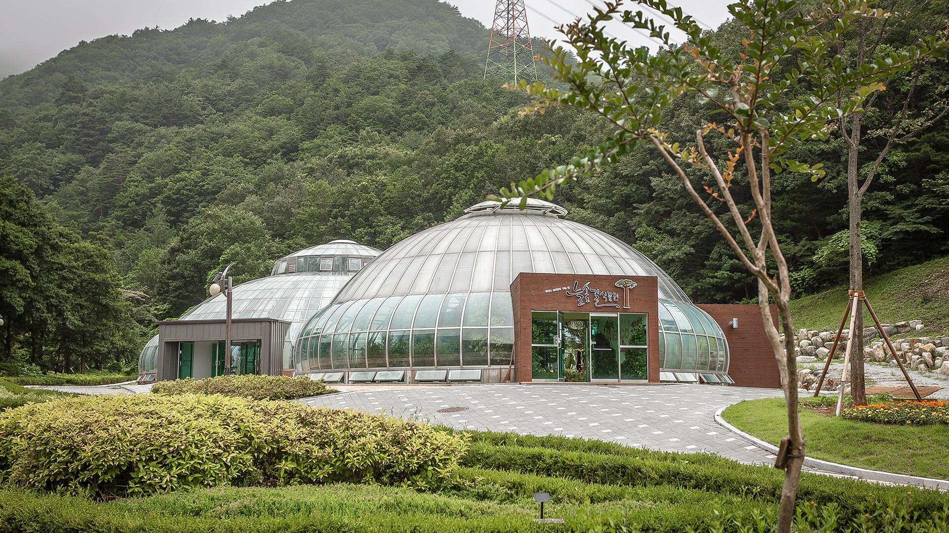 강릉솔향수목원