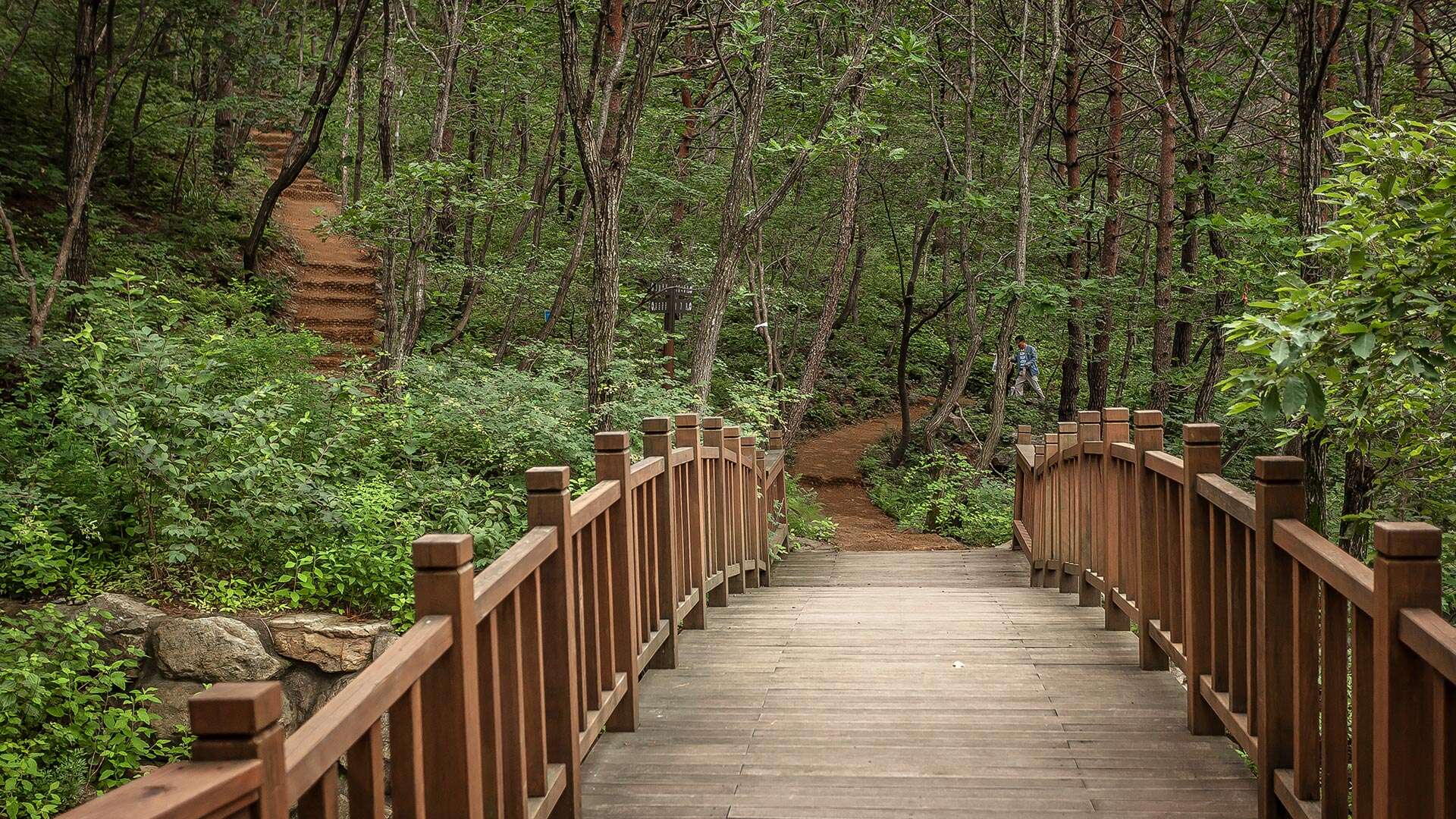 강릉솔향수목원