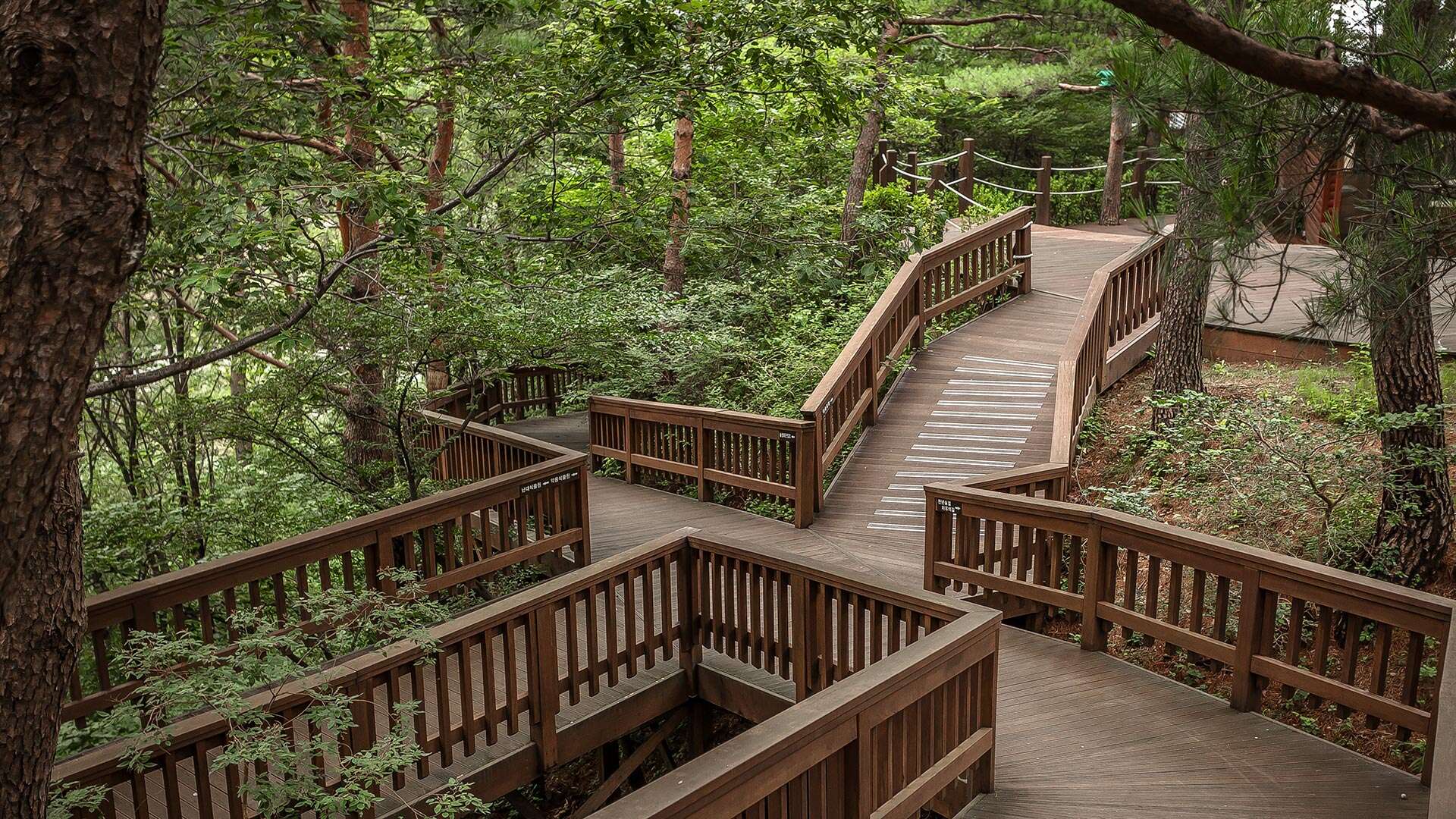 강릉솔향수목원