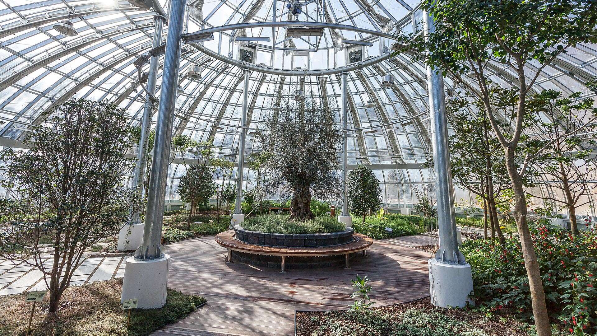 강릉솔향수목원