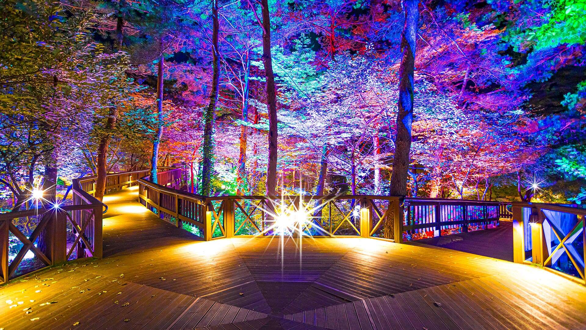 강릉솔향수목원