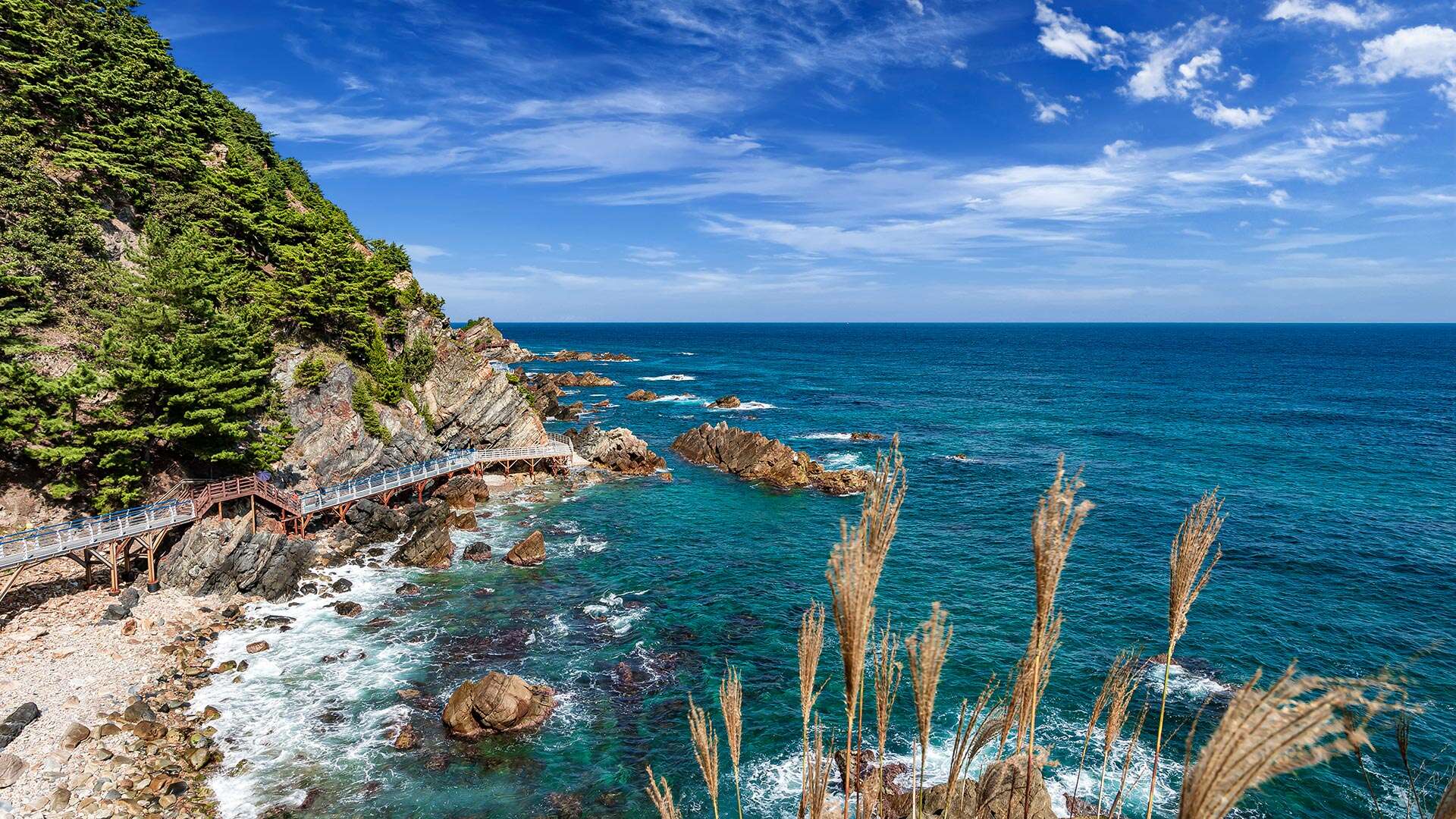 정동심곡바다부채길