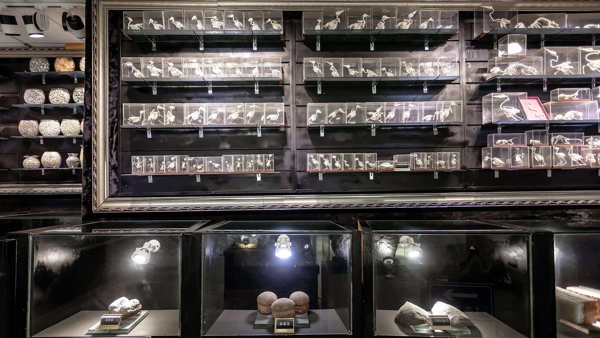 주문진해양박물관