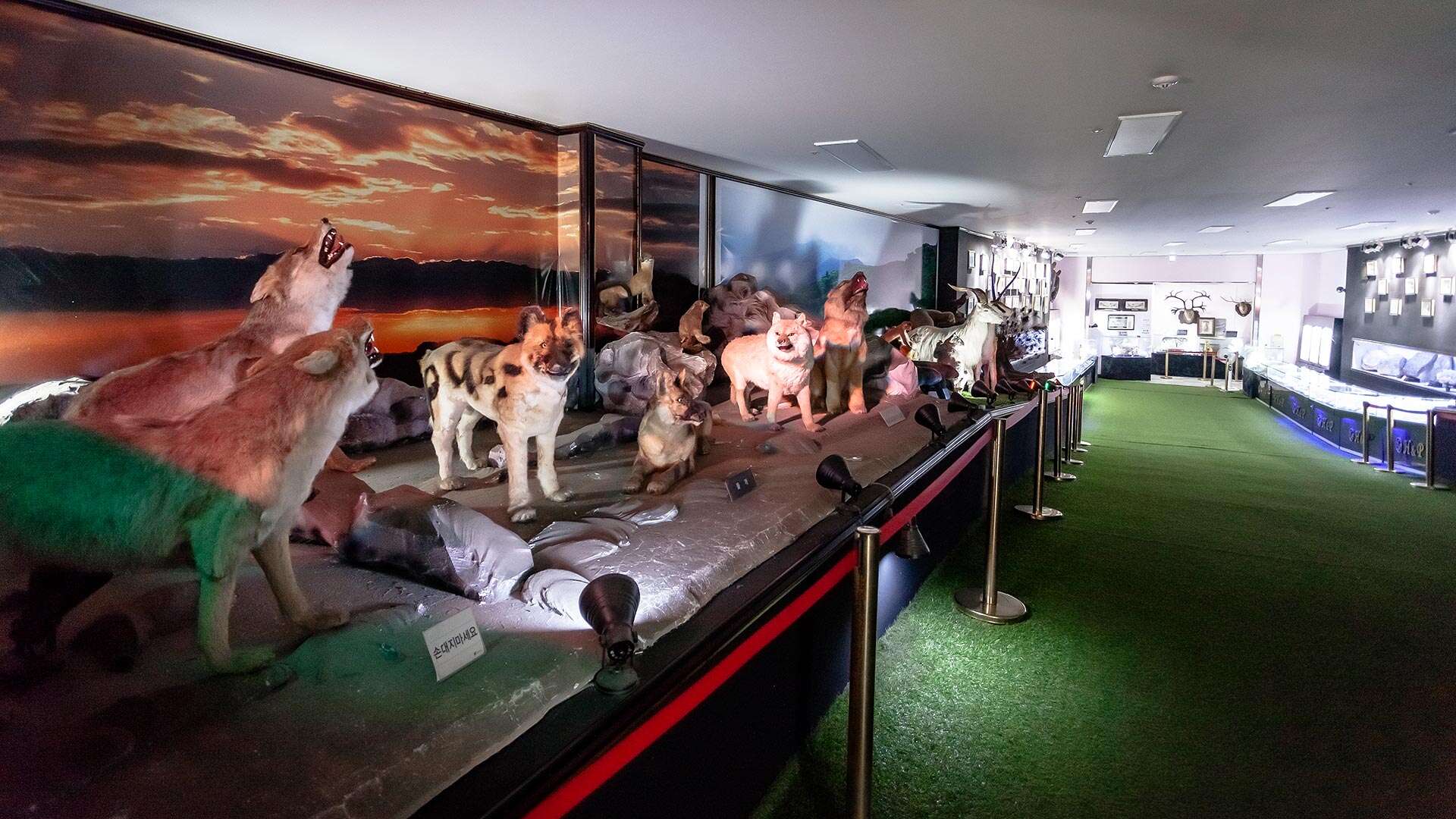 주문진해양박물관