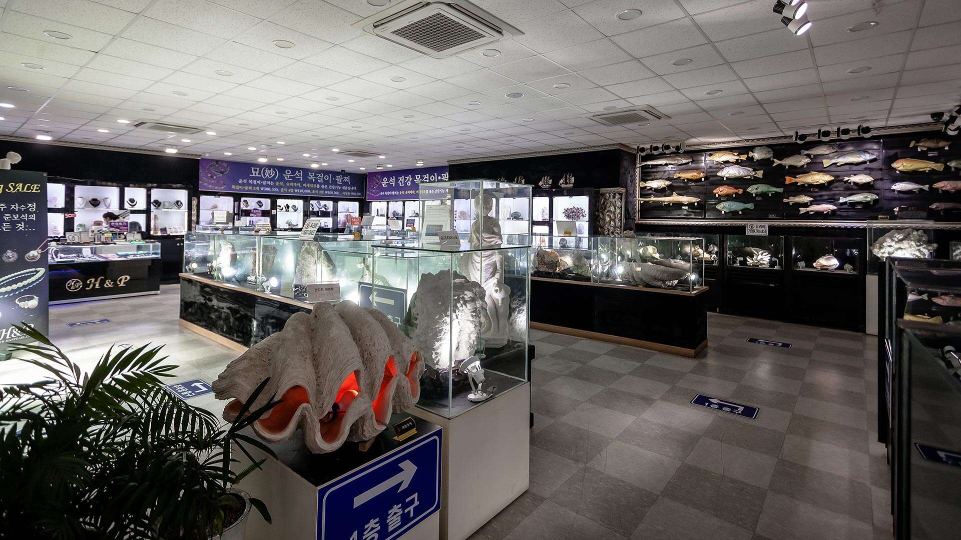 주문진해양박물관