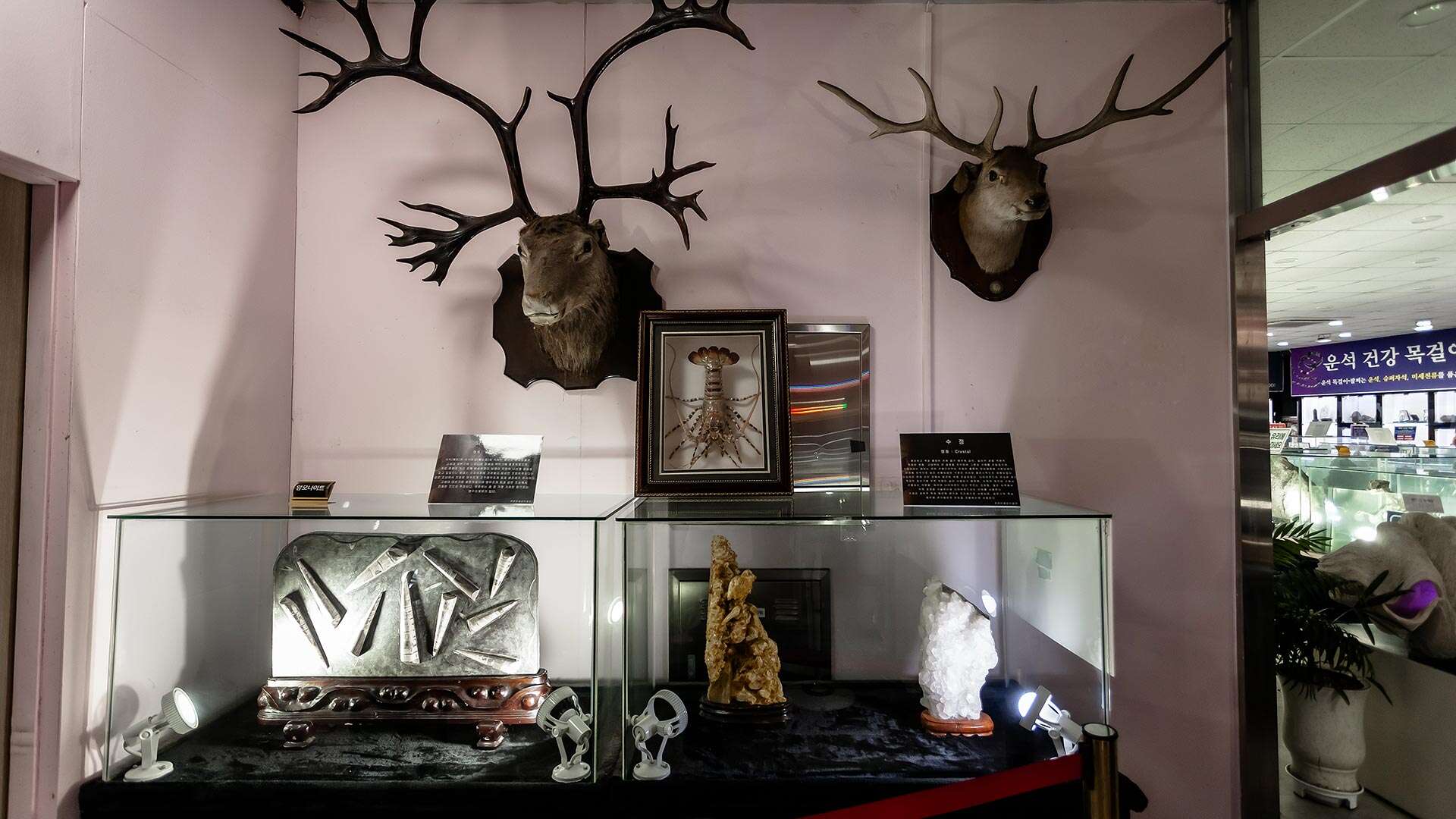 주문진해양박물관