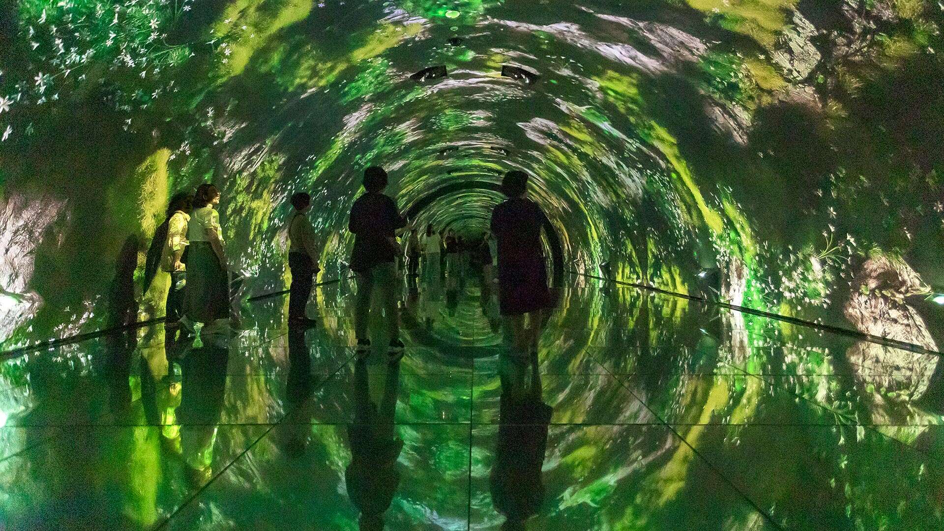 아르떼뮤지엄 강릉