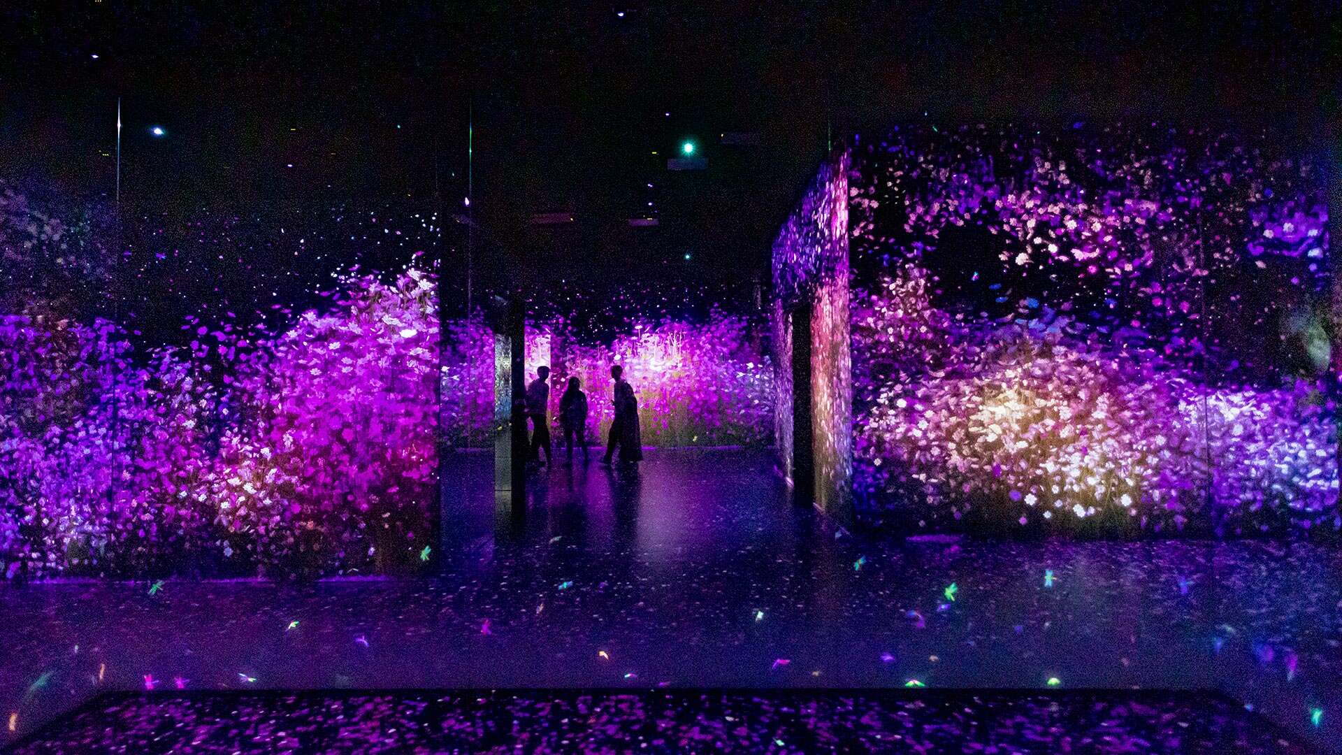 아르떼뮤지엄 강릉