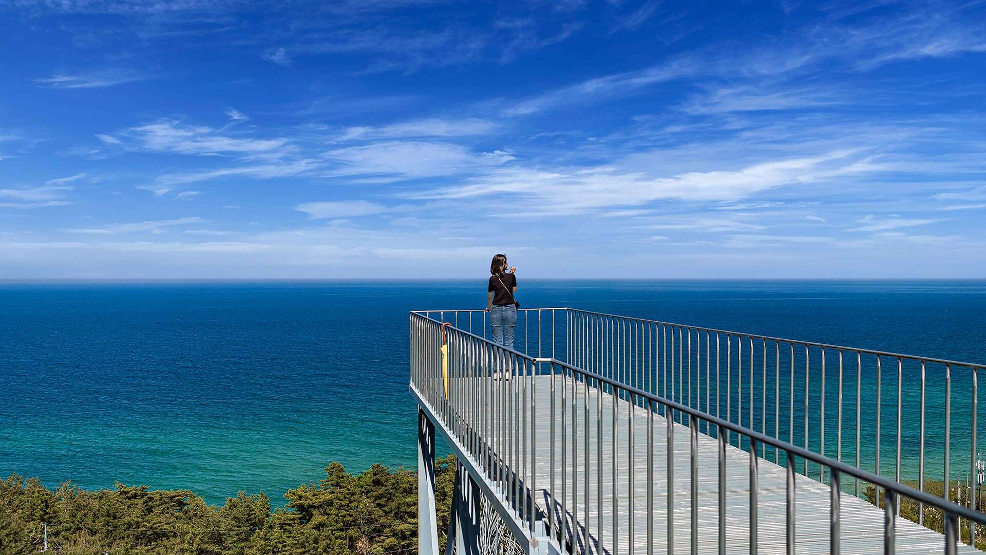 하슬라아트월드