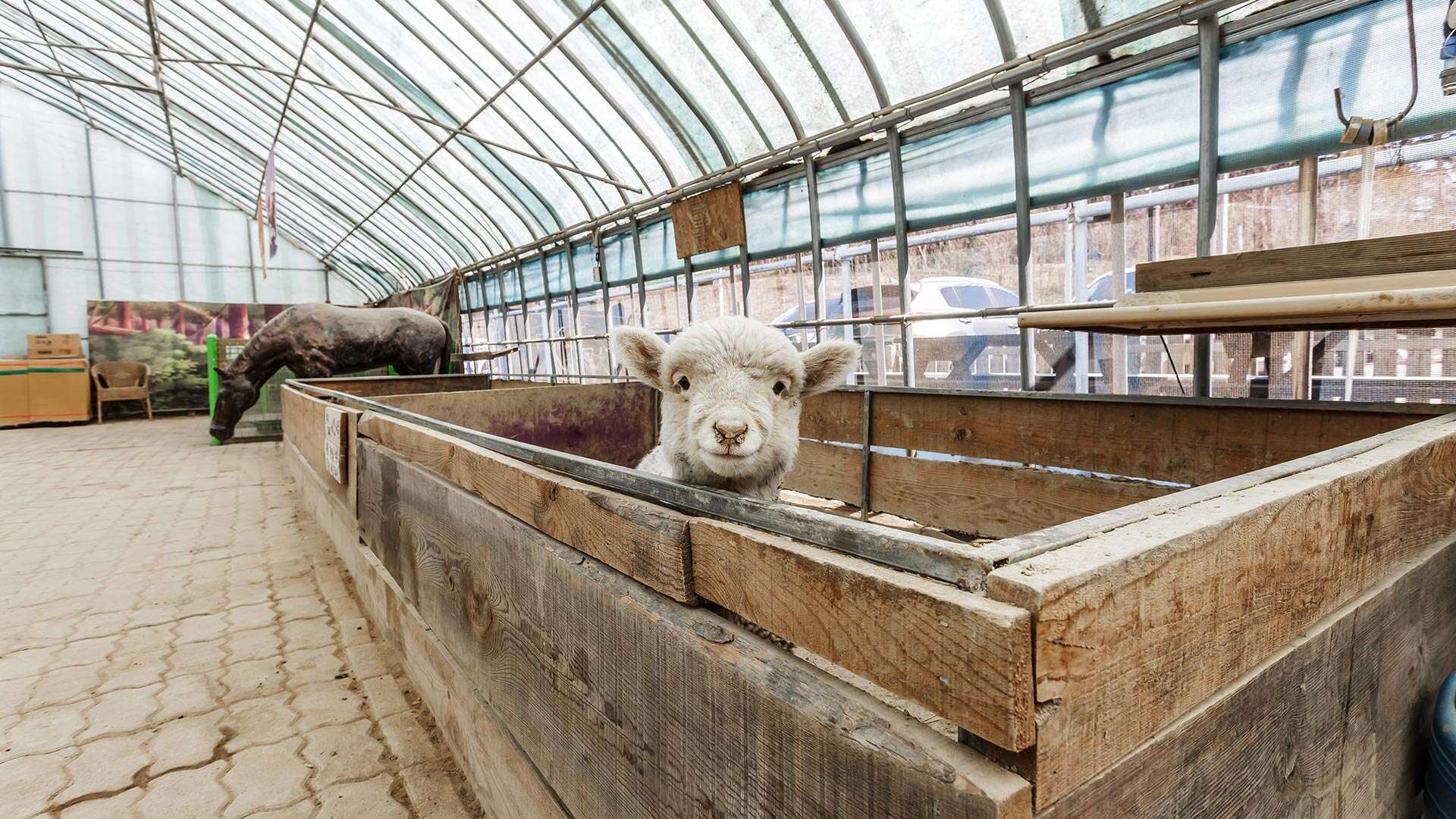 자연아놀자 체험학습박물관