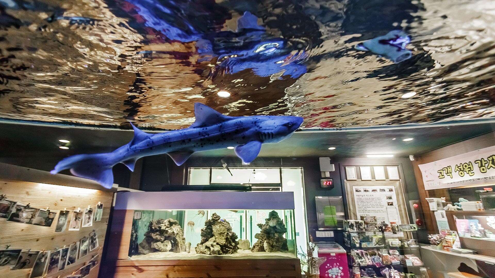 자연아놀자 체험학습박물관