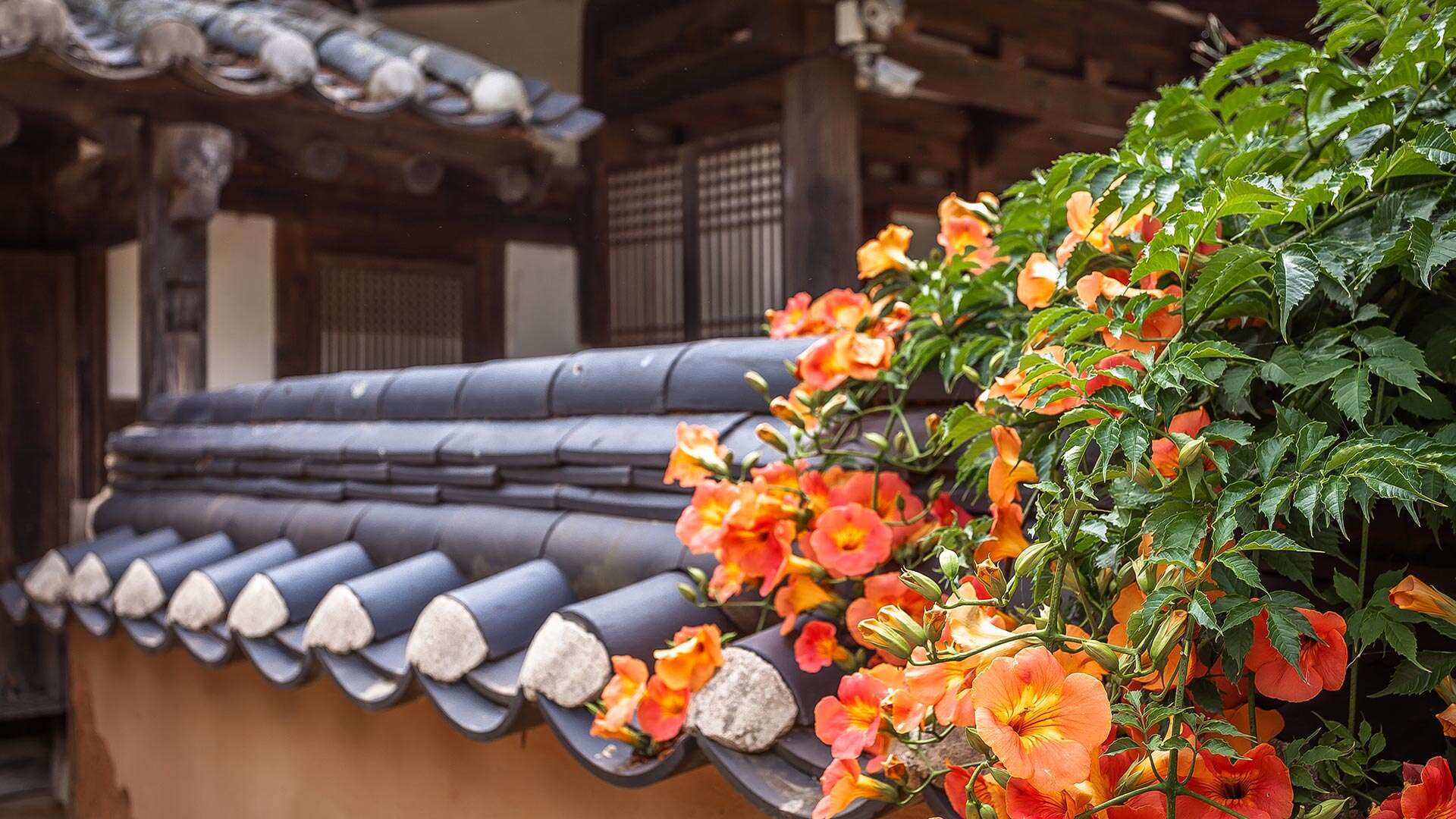 허균·허난설헌 기념공원