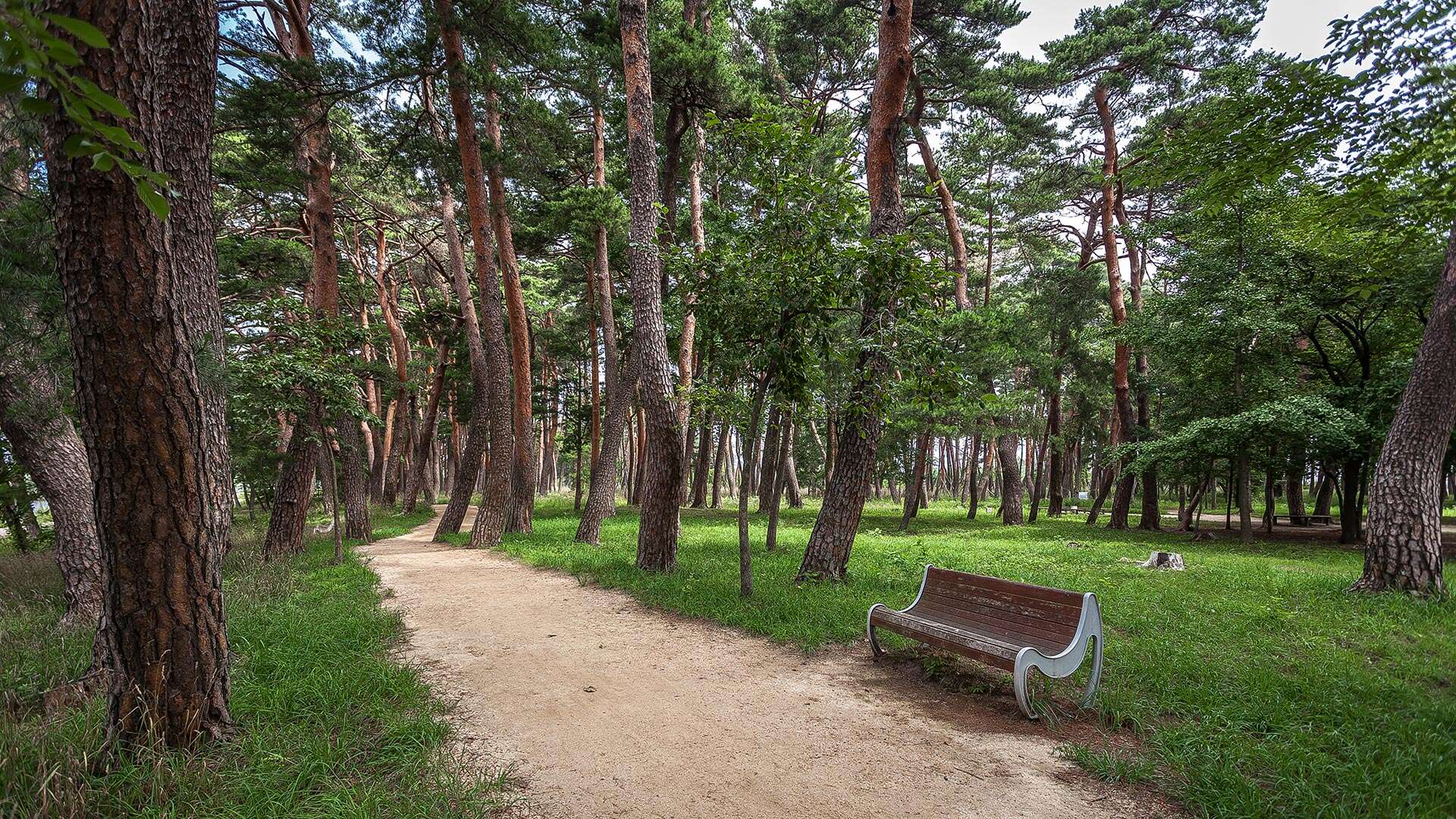 허균·허난설헌 기념공원