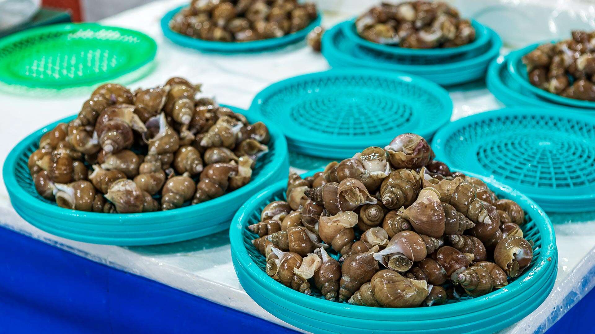 주문진수산시장