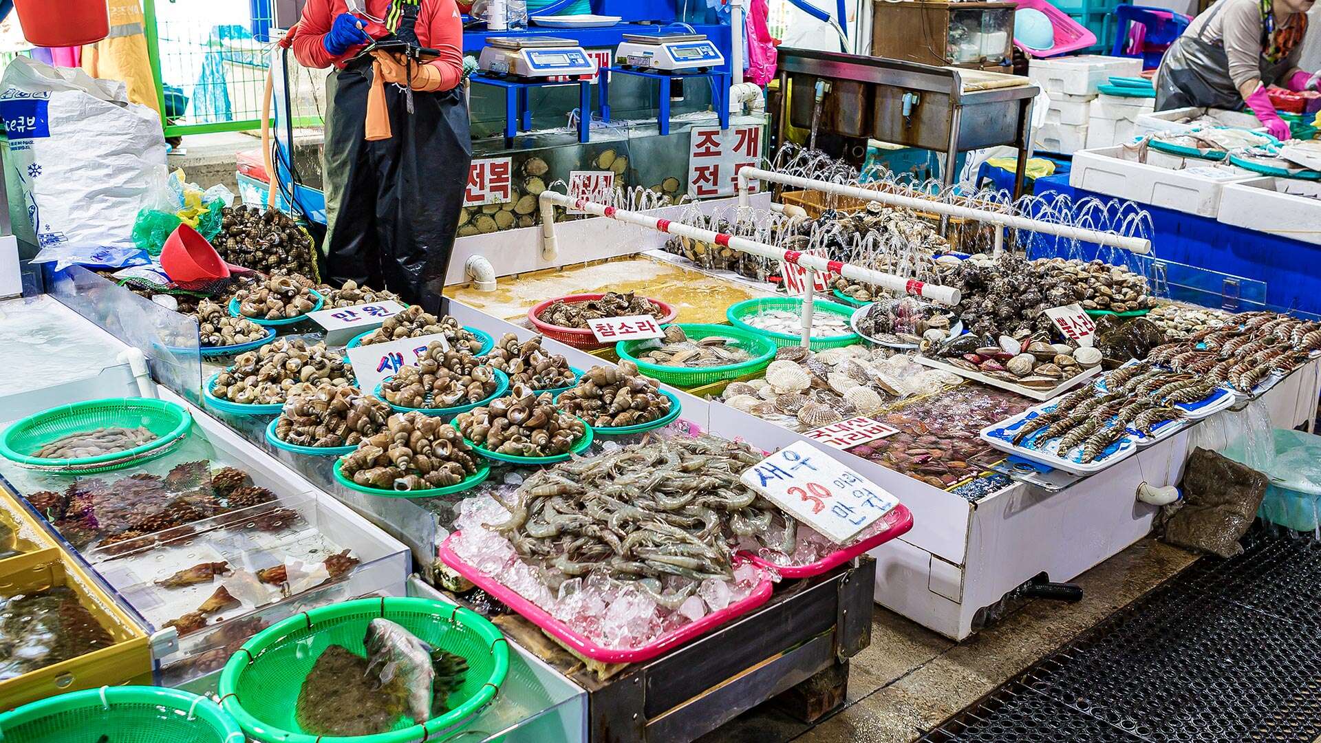 주문진수산시장