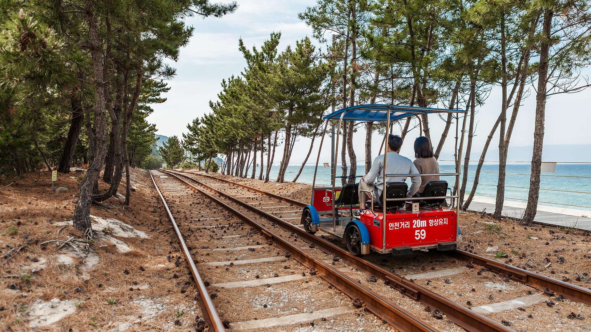 정동진레일바이크